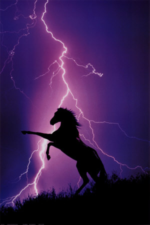2400-1227lightning-and-silhouette-of-horse-posters.jpg